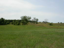 Lovely 2.5 Acres in Mono - Country homes for sale and luxury real estate including horse farms and property in the Caledon and King City areas near Toronto